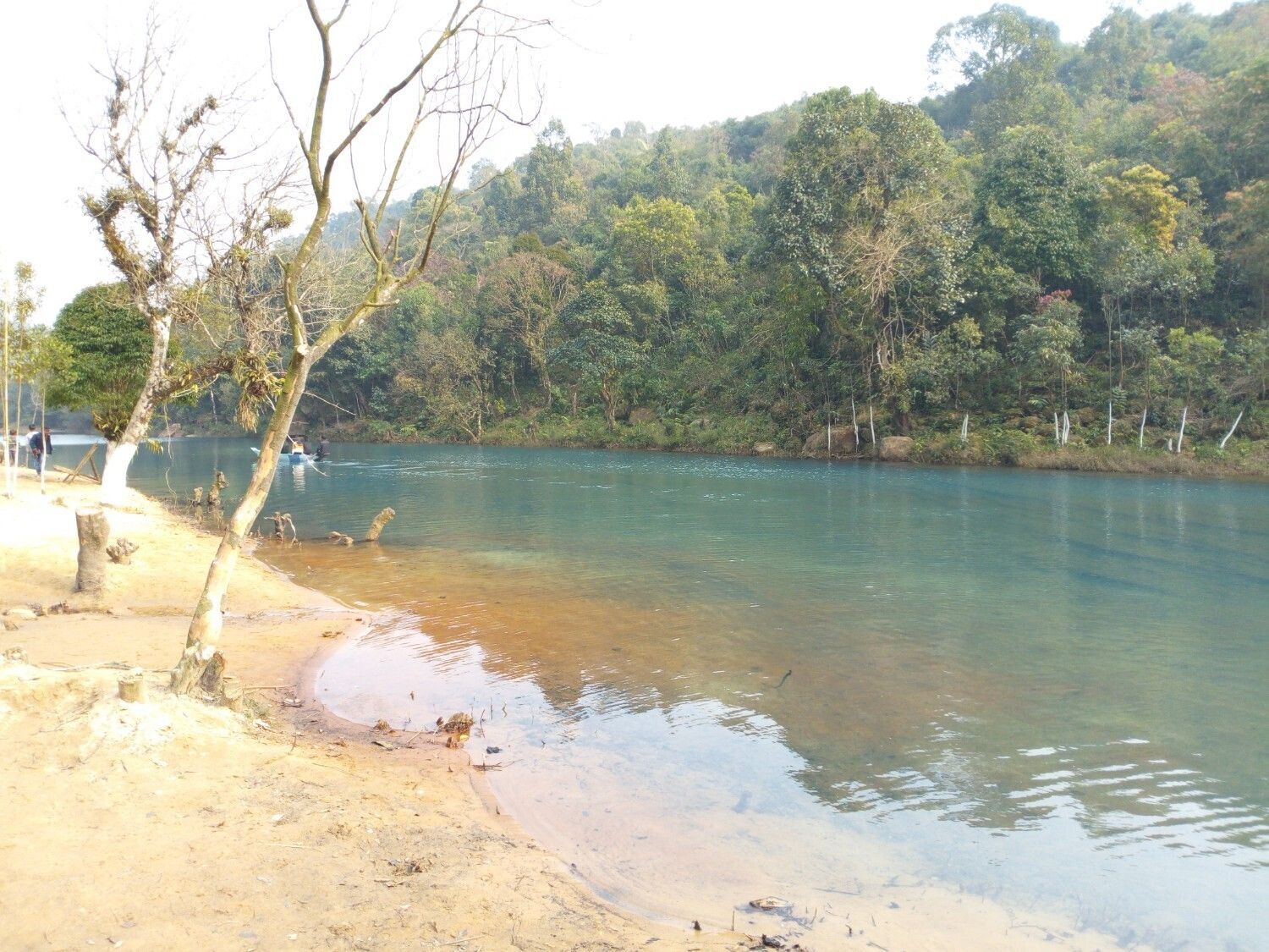 Website Image
